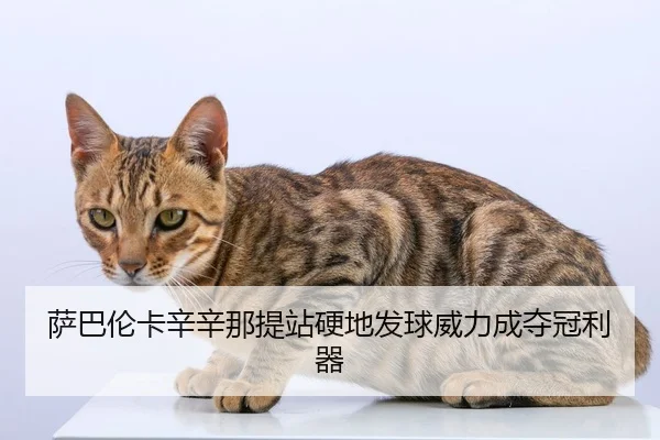萨巴伦卡辛辛那提站硬地发球威力成夺冠利器