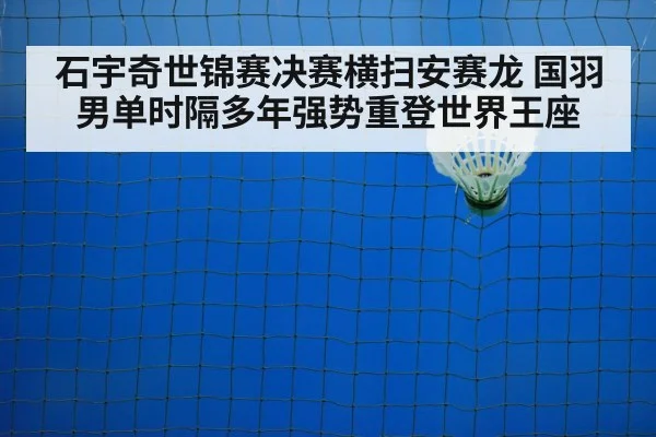 badminton net play