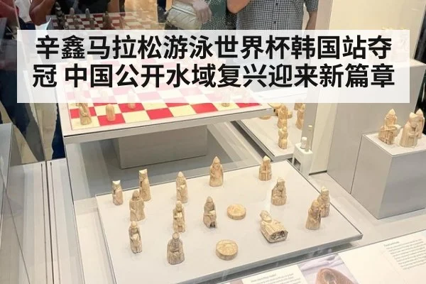 辛鑫马拉松游泳世界杯韩国站夺冠 中国公开水域复兴迎来新篇章
