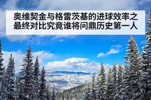 奥维契金与格雷茨基的进球效率之最终对比究竟谁将问鼎历史第一人